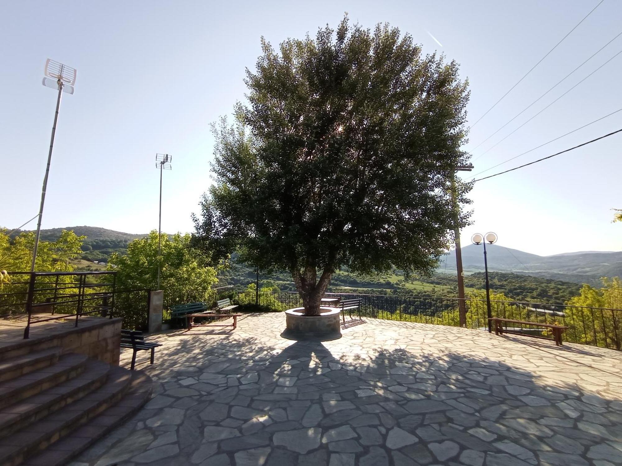 Holiday home μυρτώ